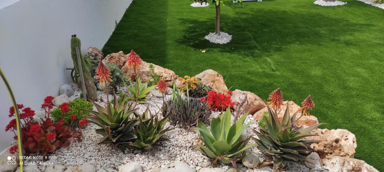 Zingarello B&B Villa Arena מראה חיצוני תמונה